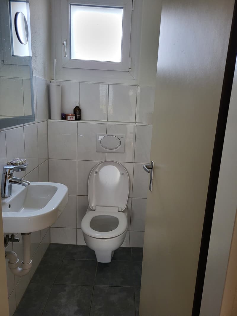 Traumhafte 4.5-Zimmer-Maisonettewohnung in Adliswil zu vermieten! (6)