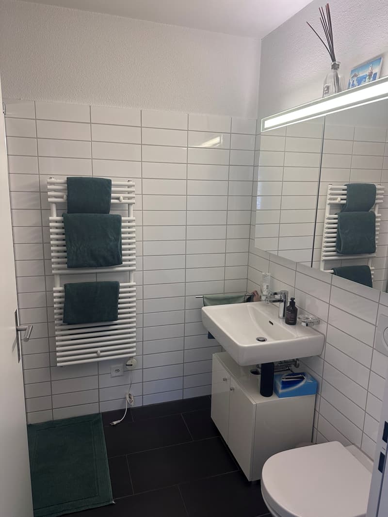 Attractive 3.5-room apartment in a quiet location in Dübendorf for rent! (9)