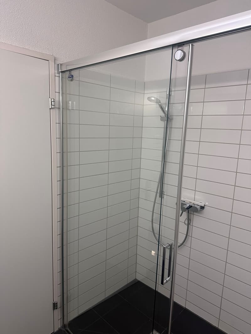 Attractive 3.5-room apartment in a quiet location in Dübendorf for rent! (8)