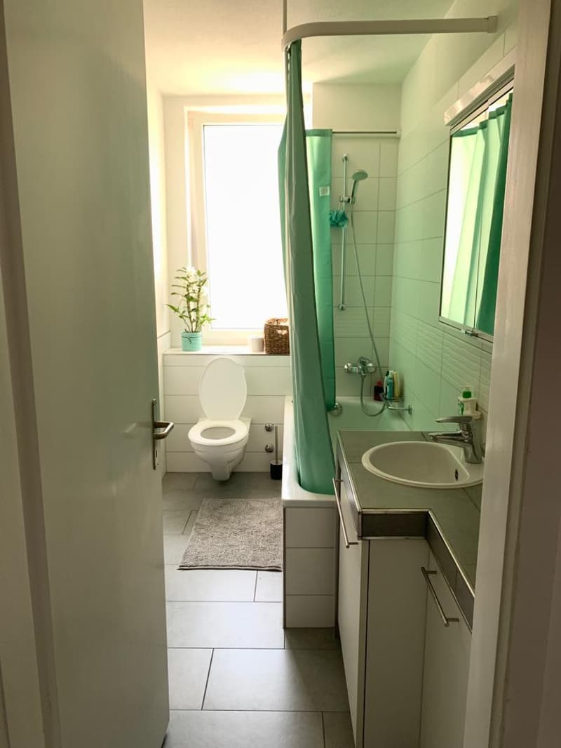 Appartement 3 pièces lumineux à Zürich-Oerlikon à louer! (3)