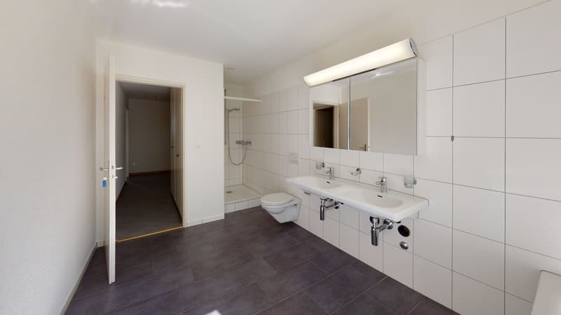 Grosszügige 6-Zimmerwohnung mit zwei Balkonen in Dietikon zu vermieten! (7)