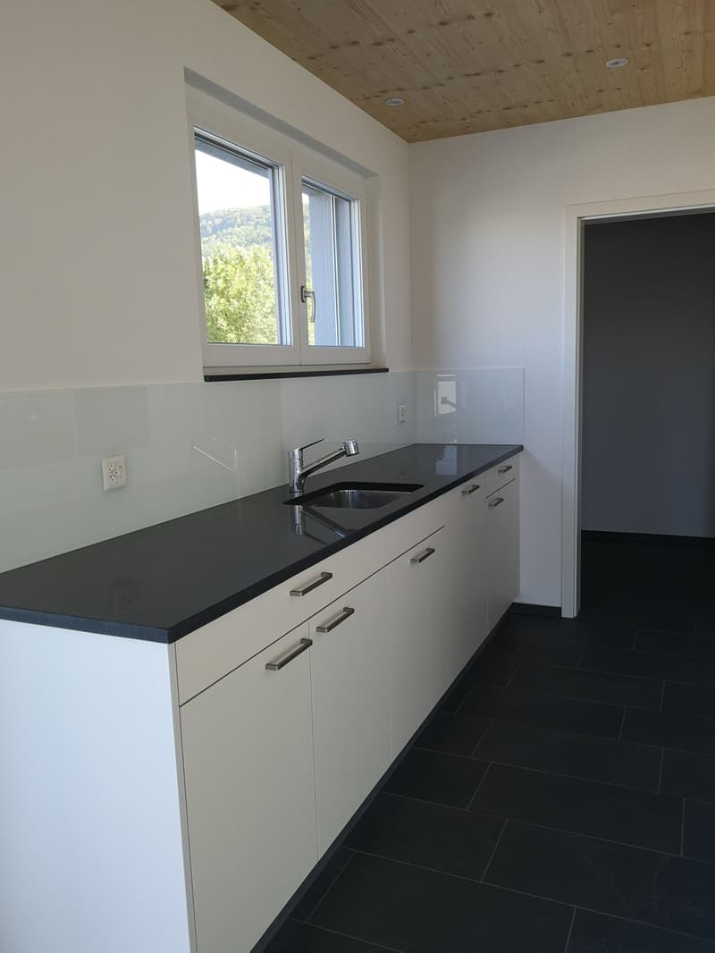 Appartement moderne 3.5 pièces avec terrasse et vue (7)