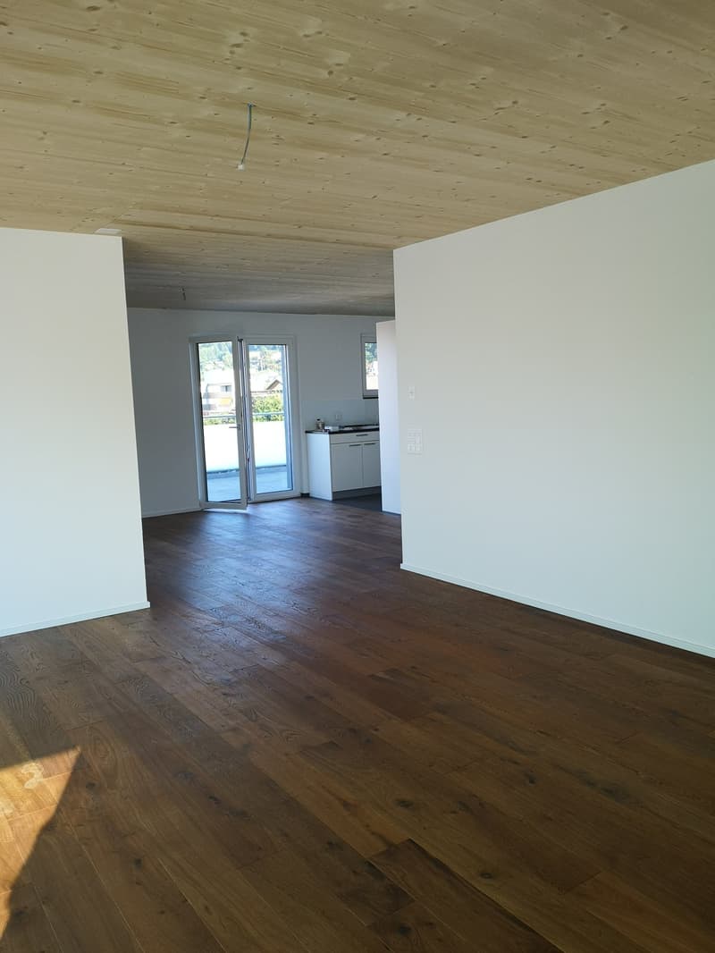 Appartement moderne 3.5 pièces avec terrasse et vue (3)
