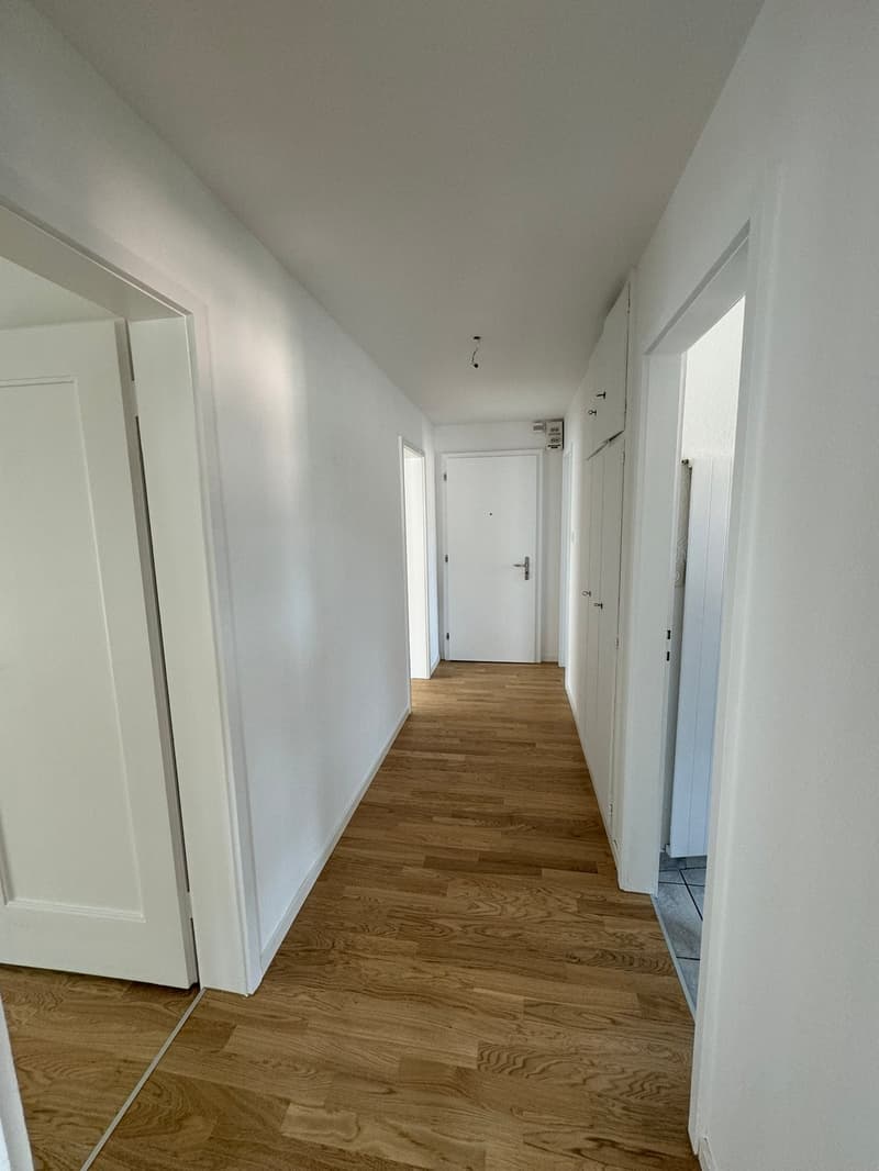 Bright apartment in child-friendly residential area in Glattbrugg (5)