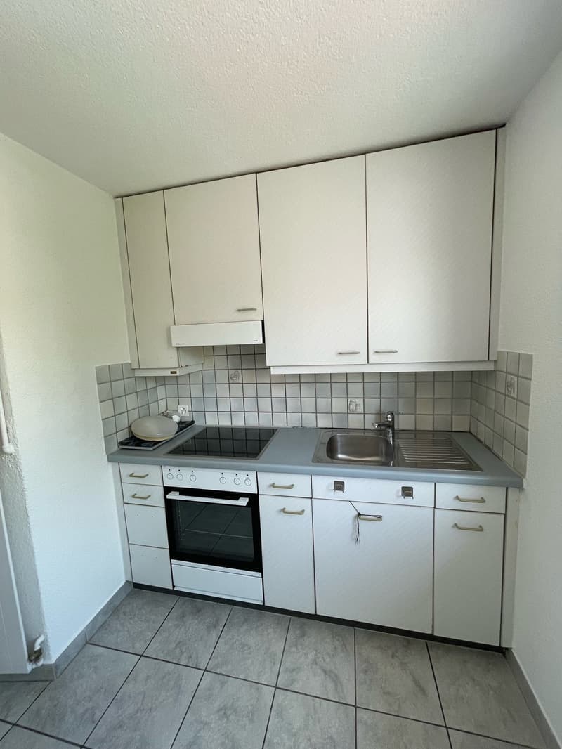 Bright apartment in child-friendly residential area in Glattbrugg (7)