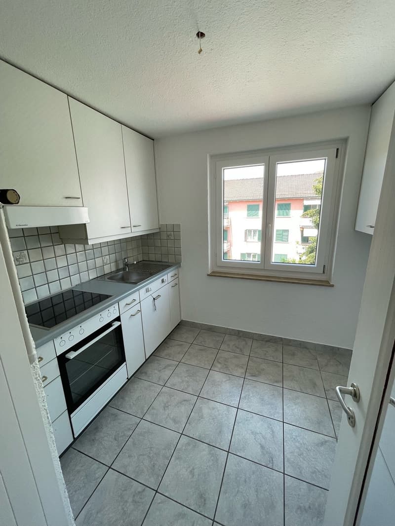 Bright apartment in child-friendly residential area in Glattbrugg (6)