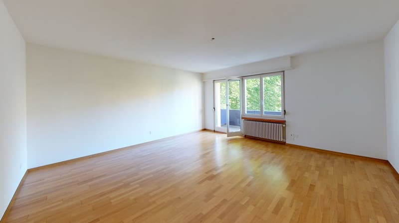 Spacious 6-room apartment with two balconies for rent in Dietikon! (5)