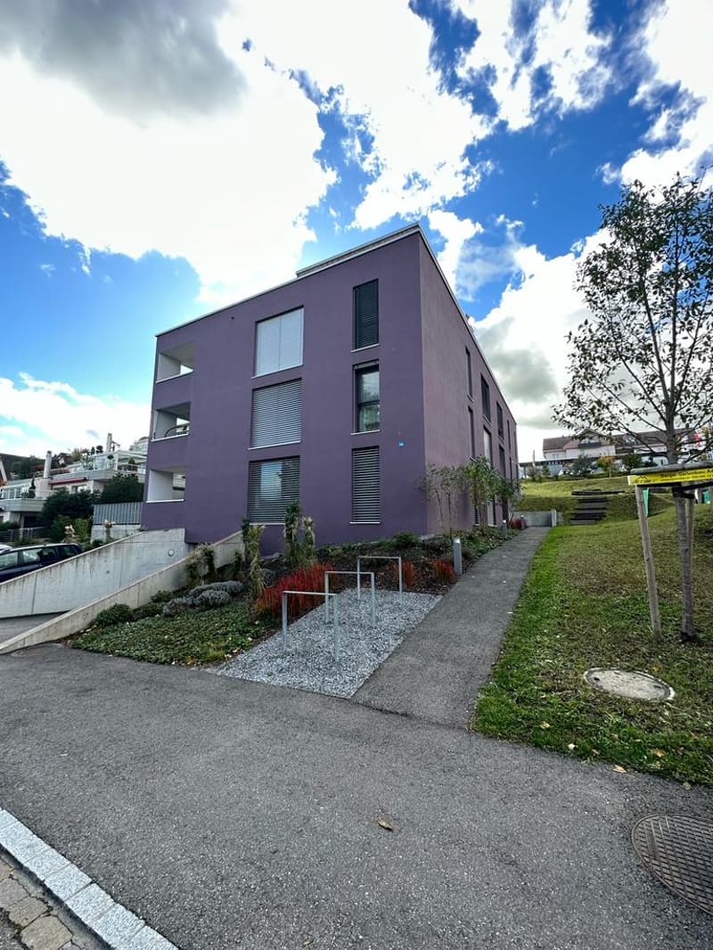 Moderne 1.5-Zimmer-Wohnung in Merenschwand zu vermieten! (1)
