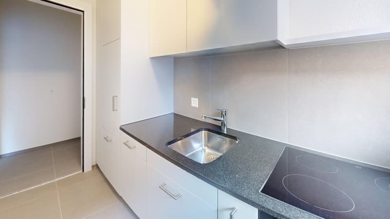 Appartement 1 pièce moderne à louer près de Helvetiaplatz ! (2)