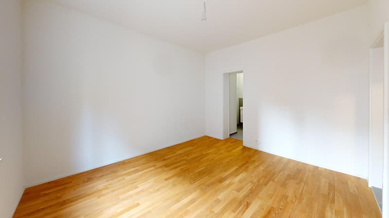 Appartement 1 pièce moderne à louer près de Helvetiaplatz ! (5)