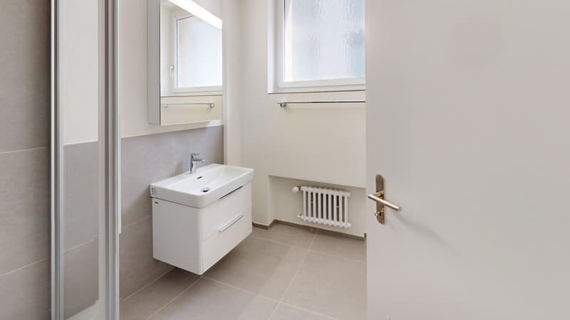 Appartement 1 pièce moderne à louer près de Helvetiaplatz ! (8)