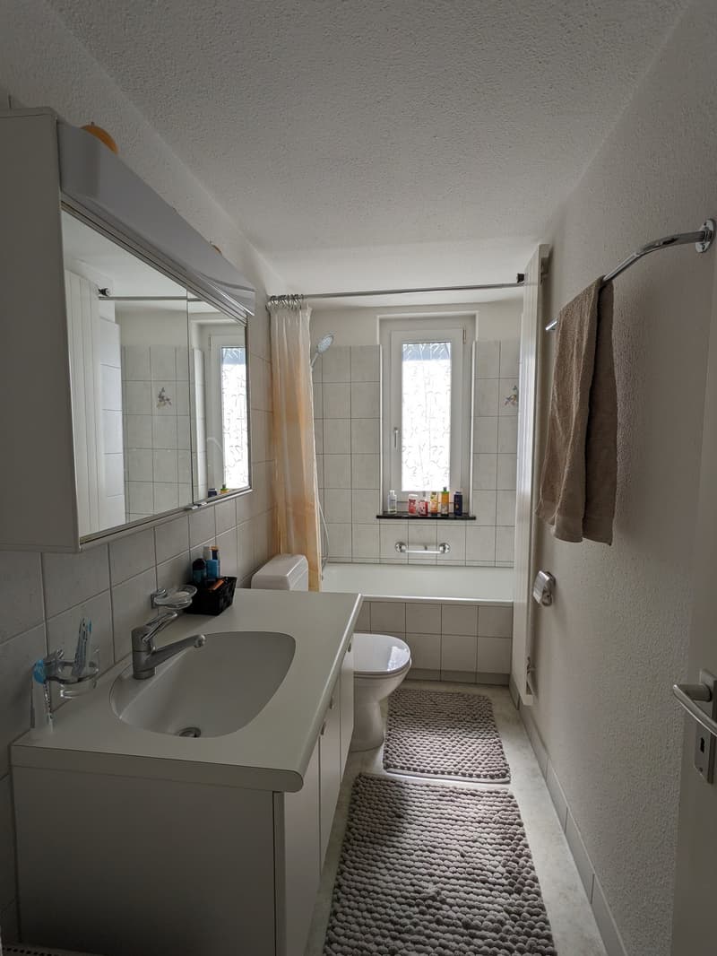 2-room apartment in Zürich-Wollishofen for rent! (3)