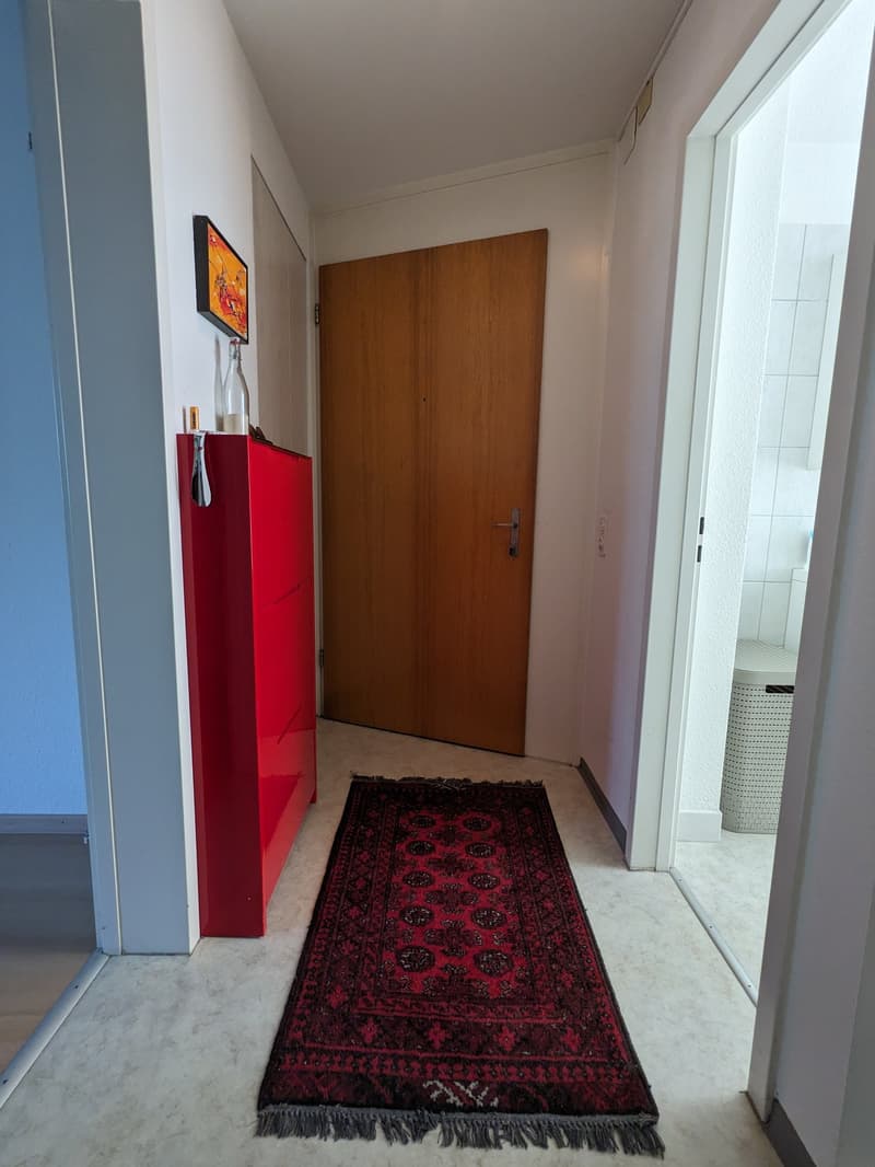 2-room apartment in Zürich-Wollishofen for rent! (4)