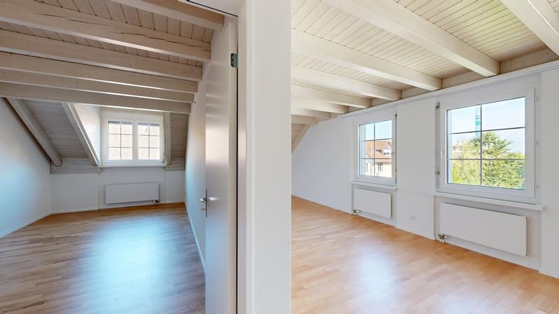 Charming 3.5-room maisonette apartment for rent in Affoltern am Albis! (2)