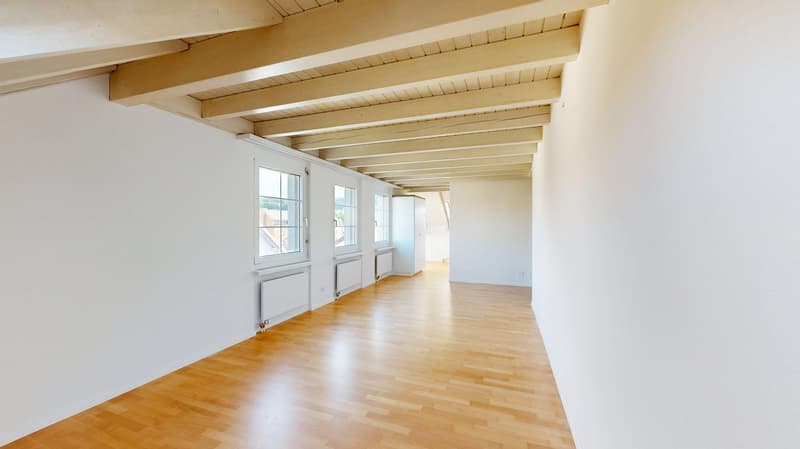 Charming 3.5-room maisonette apartment for rent in Affoltern am Albis! (1)