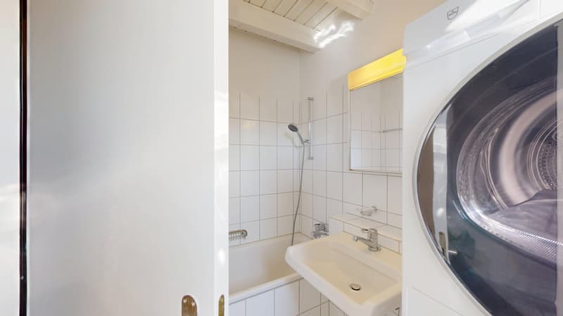Charming 3.5-room maisonette apartment for rent in Affoltern am Albis! (10)