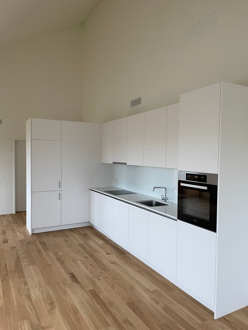 Spacious, modern 2.0-room apartment (studio) for rent in Höri! (3)
