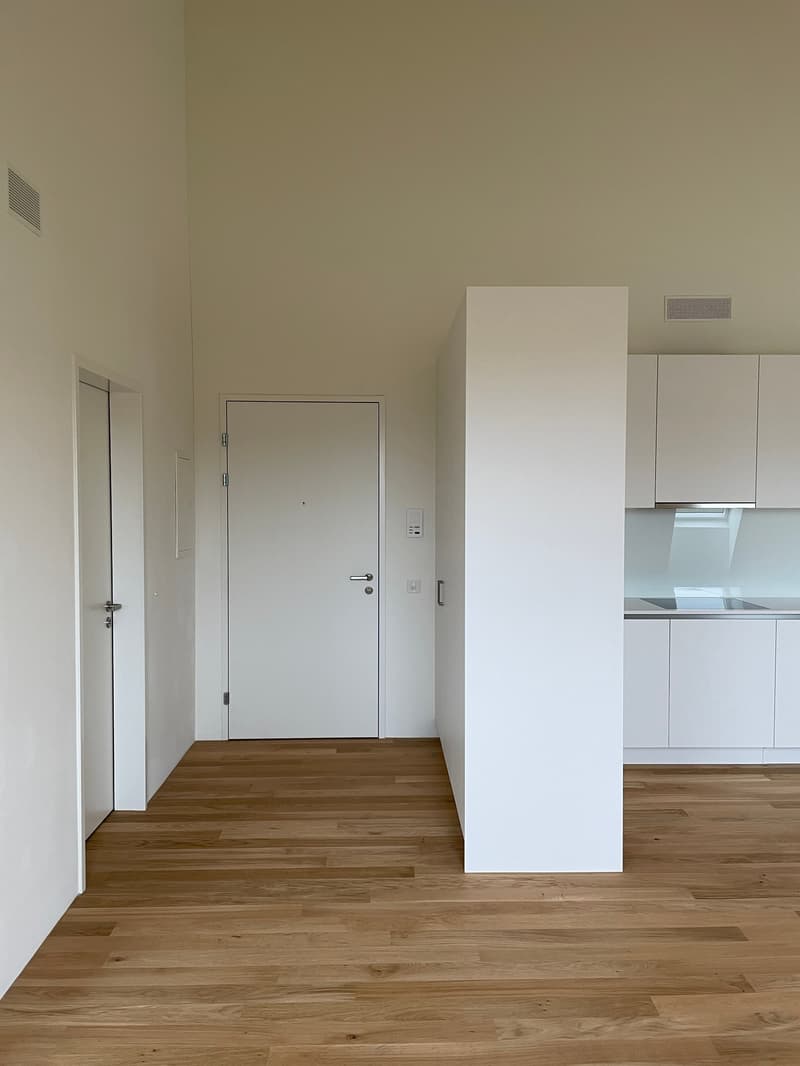 Spacious, modern 2.0-room apartment (studio) for rent in Höri! (7)