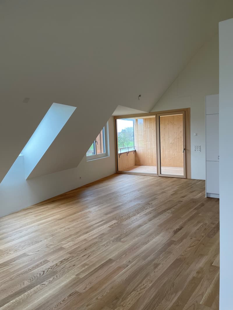 Spacious, modern 2.0-room apartment (studio) for rent in Höri! (1)