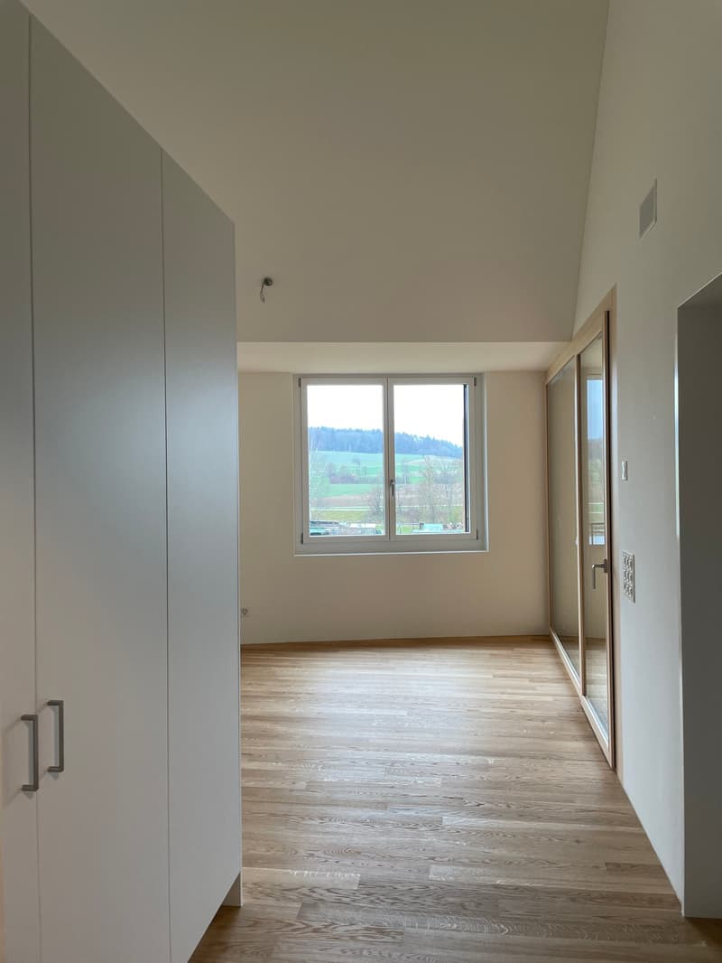 Spacious, modern 2.0-room apartment (studio) for rent in Höri! (6)