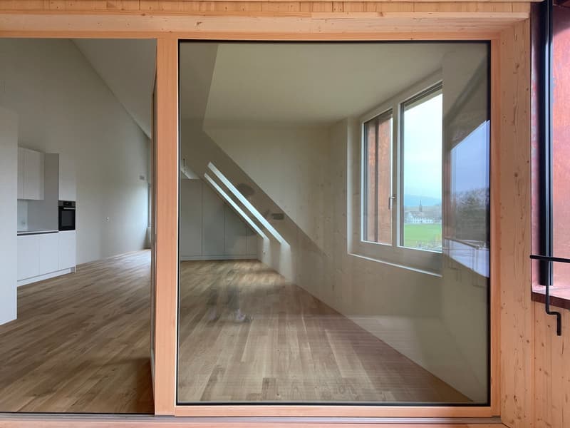 Spacious, modern 2.0-room apartment (studio) for rent in Höri! (13)