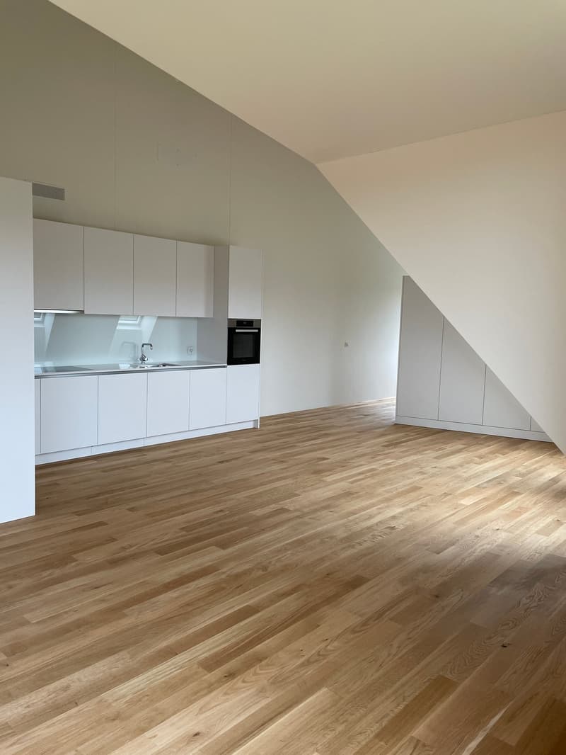 Spacious, modern 2.0-room apartment (studio) for rent in Höri! (4)