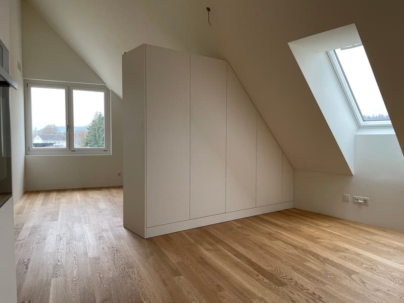 Spacious, modern 2.0-room apartment (studio) for rent in Höri! (5)