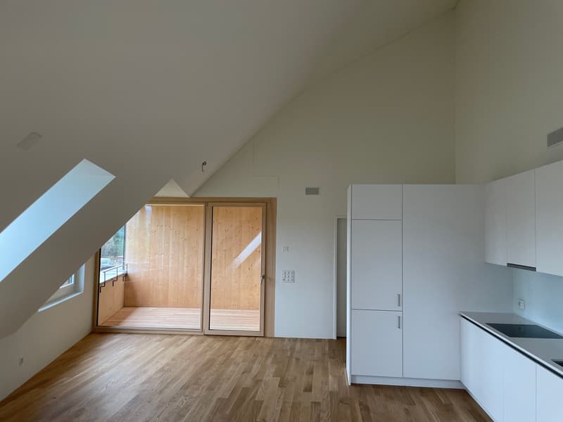 Spacious, modern 2.0-room apartment (studio) for rent in Höri! (2)