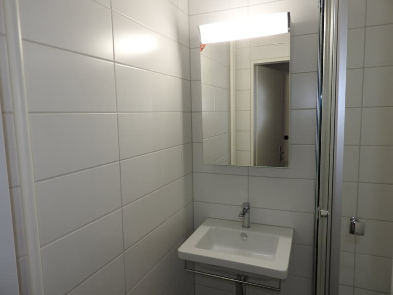 Gemütliche Single-Wohnung an attraktiver Lage in Zürich Höngg! (6)