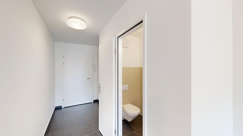 Moderne 3.5-Zimmer-Wohnung in Zürich Schwamendingen (5)