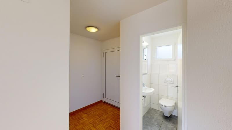 Traumhafte 4.5-Zimmer-Maisonettewohnung in Adliswil zu vermieten! (8)