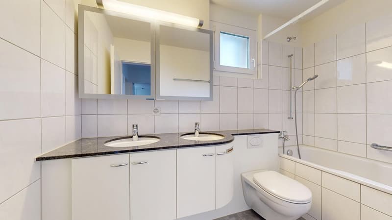 Traumhafte 4.5-Zimmer-Maisonettewohnung in Adliswil zu vermieten! (13)