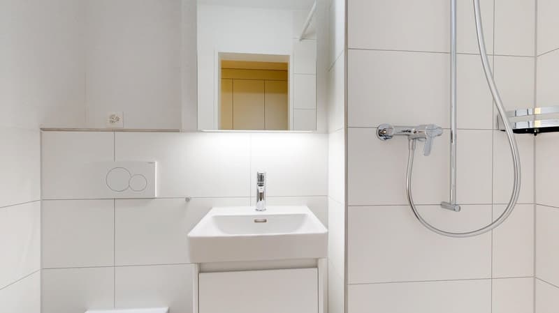 ERSTVERMIETUNG - Moderne 4.5-Zimmer-Wohnung nach Sanierung (6)