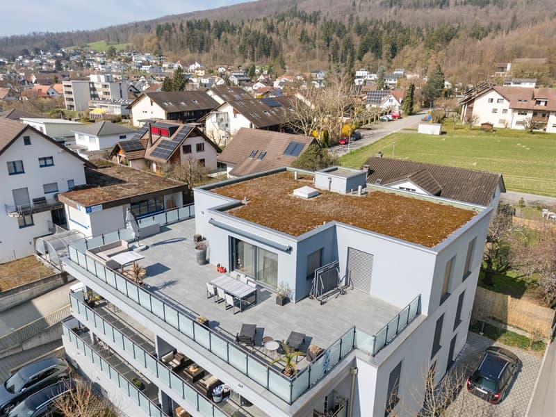 Moderne 3.5-Zimmer-Wohnung mit Terrasse und Aussicht (1)