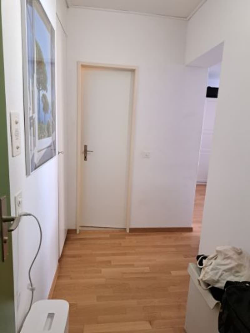 1-Zimmerwohnung in Zürich-Wiedikon zu vermieten! (8)