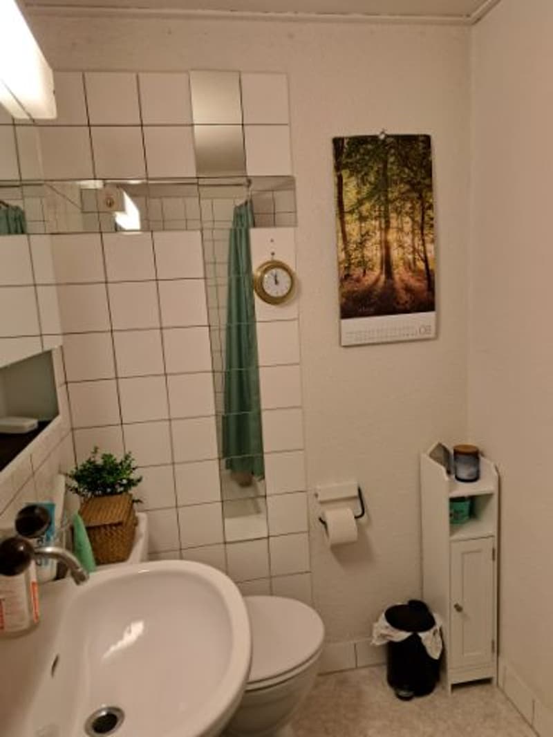 1-Zimmerwohnung in Zürich-Wiedikon zu vermieten! (6)