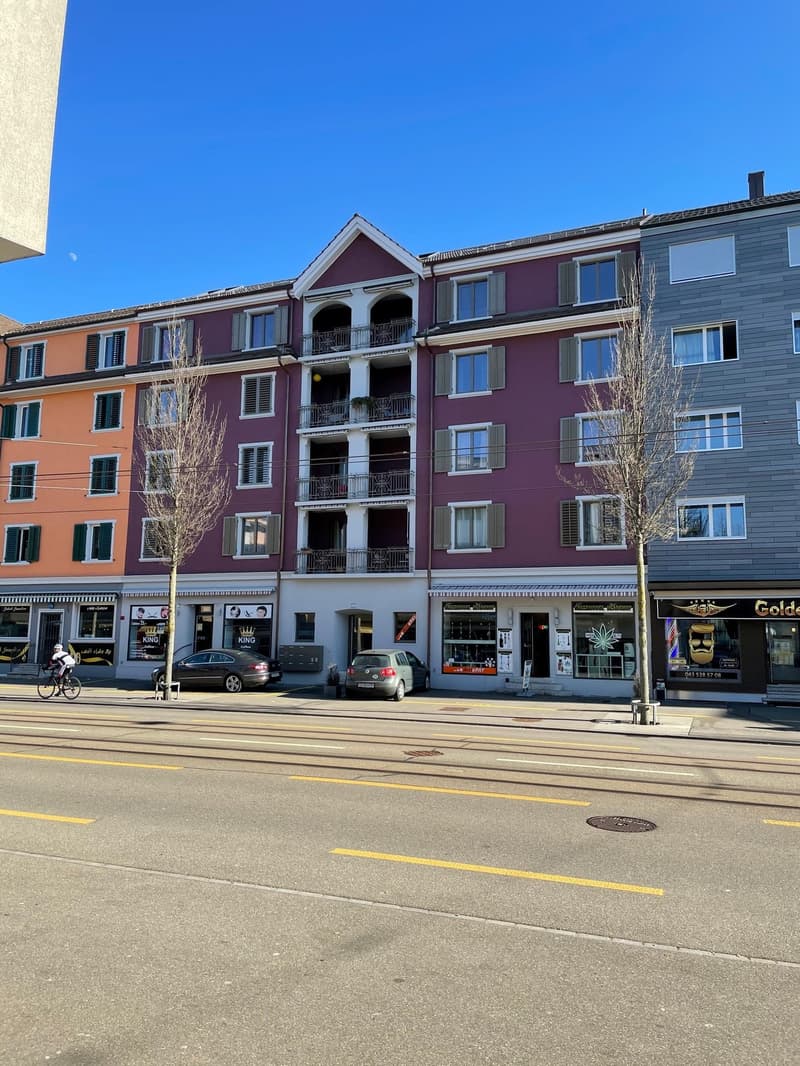 4.5-Zimmer-Dachwohnung in Zürich-Seebach zu vermieten! (1)
