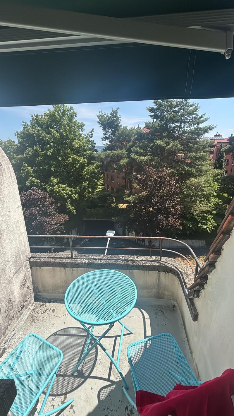 2-Zimmer-Wohnung in Zürich-Wollishofen zu vermieten! (7)