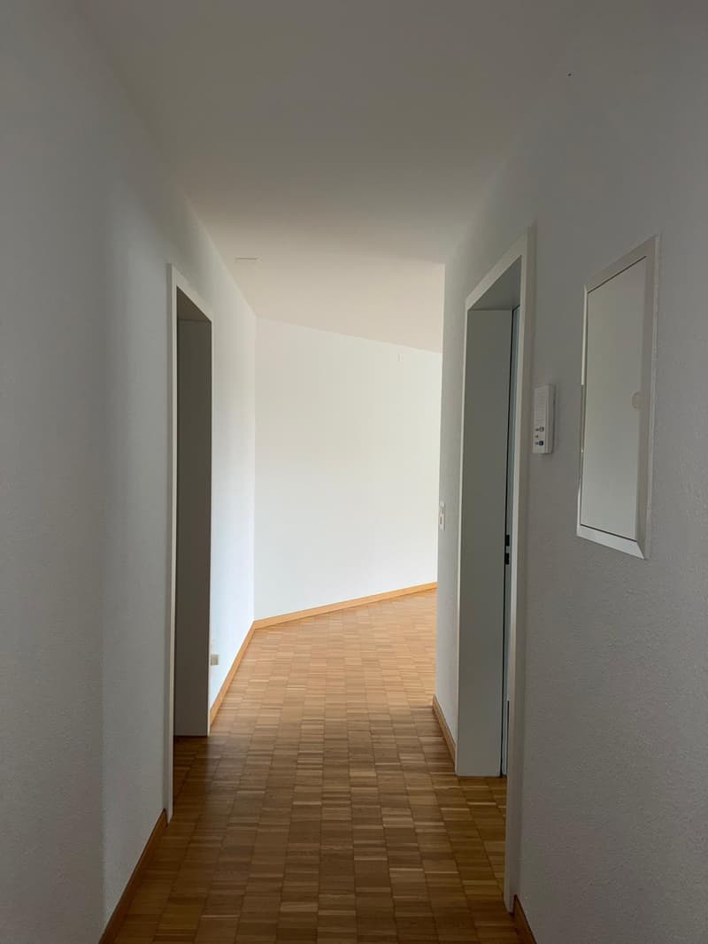 4-Zimmer-Wohnung in Zürich Seebach zu vermieten! (4)