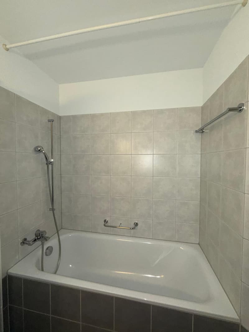 4-Zimmer-Wohnung in Zürich Seebach zu vermieten! (5)