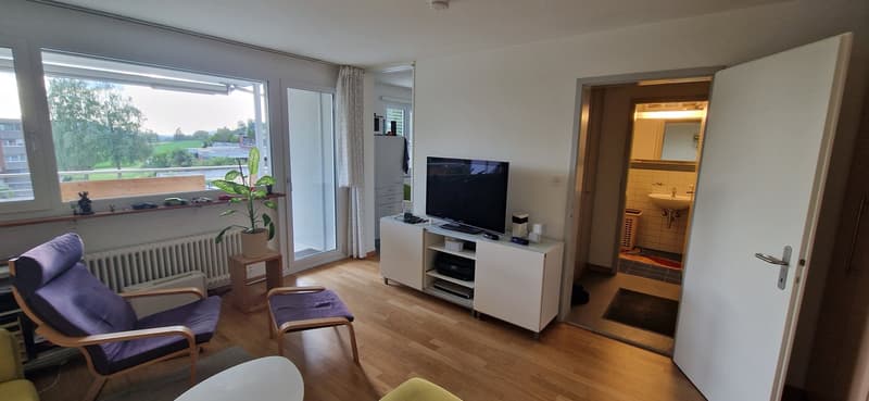 1.5 Zimmer-Wohnung an ausgezeichneter Lage in Kloten! (3)