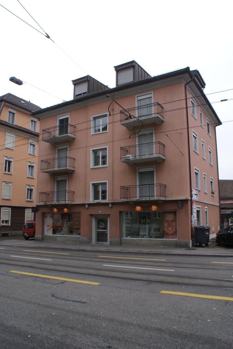 Helle 1-Zimmer-Wohnung mit Balkon an der Birmensdorferstrasse in Zürich (1)