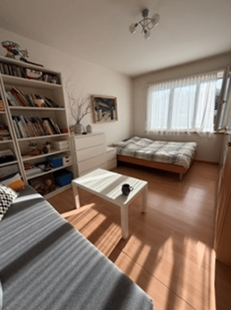Helle 2-Zimmer-Wohnung mit Balkon in Kloten (3)