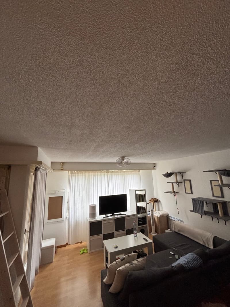 Charmante 1.5-Zimmer-Wohnung mit Balkon in Dietikon (4)