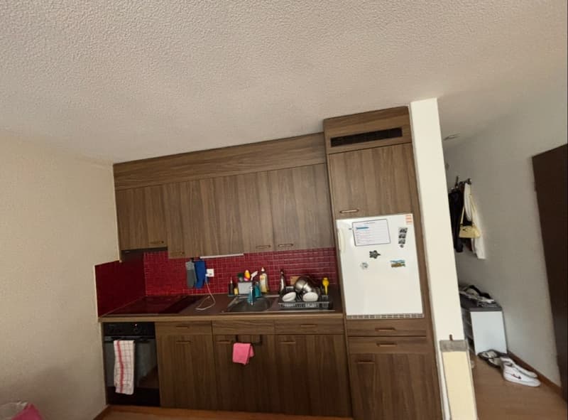 Charmante 1.5-Zimmer-Wohnung mit Balkon in Dietikon (1)