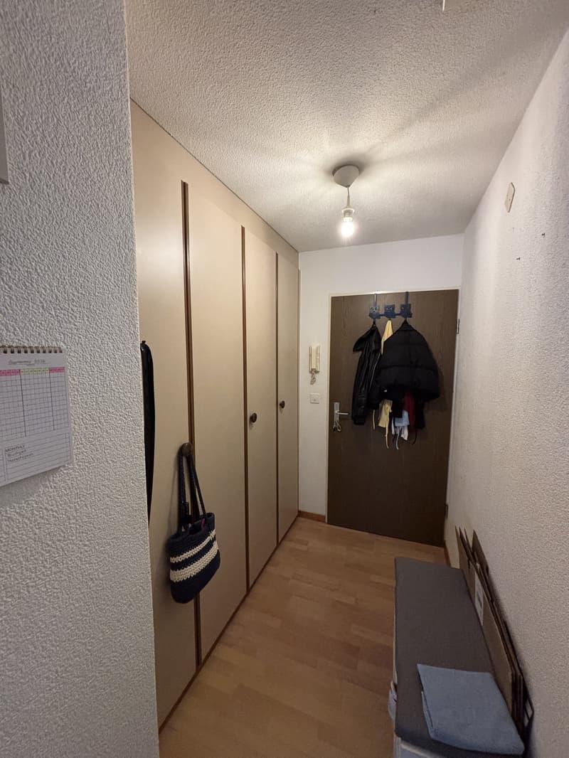 Charmante 1.5-Zimmer-Wohnung mit Balkon in Dietikon (5)
