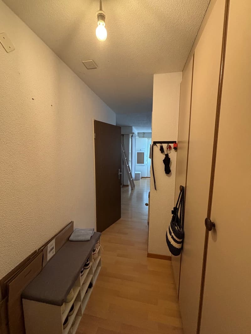 Charmante 1.5-Zimmer-Wohnung mit Balkon in Dietikon (2)