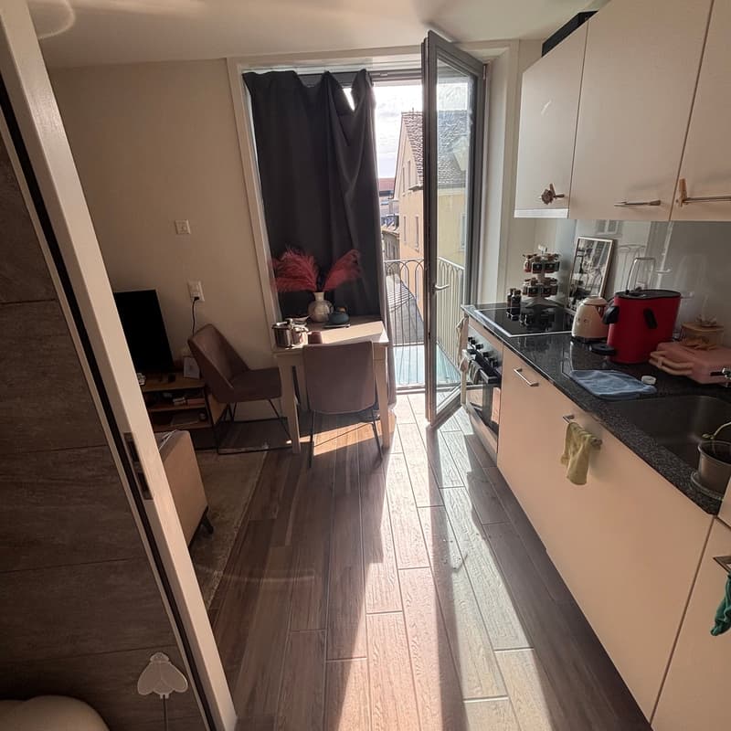 Möbilierte 1.5-Zimmer-Wohnung mit Balkon in Zürich (3)
