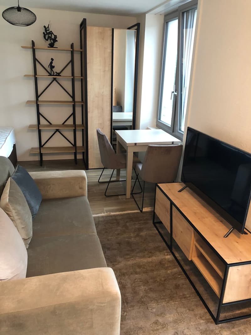 Möbilierte 1.5-Zimmer-Wohnung mit Balkon in Zürich (4)