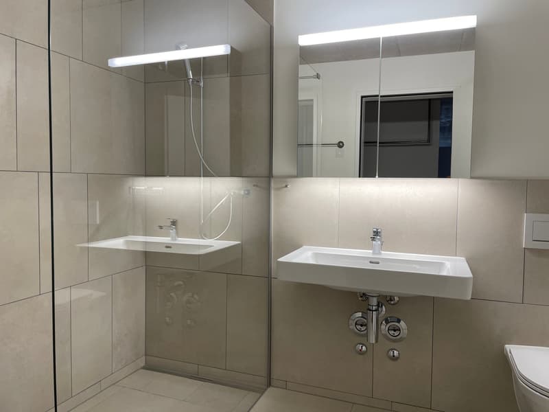 Grosszügige moderne 2.5-Zimmerwohnung (12)
